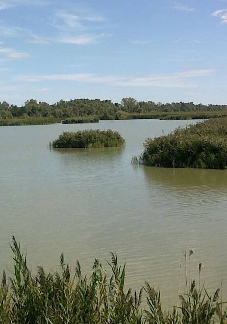Un corso pratico di fotografia per chi ama la natura 