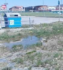 Scarico di liquami abusivo