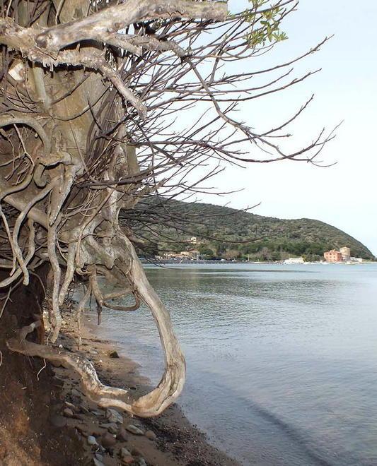 Primi visitatori in un golfo da salvare 