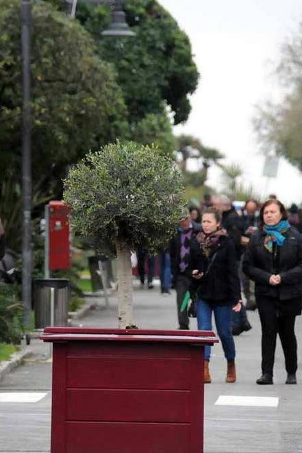 L’estate è ormai alle porte e Marina si è rifatta il look 