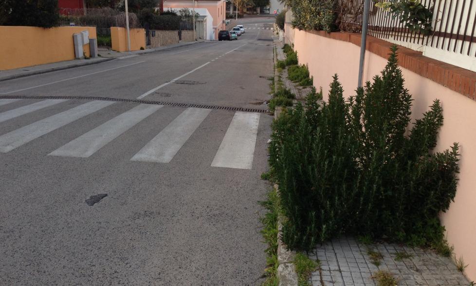 Cespuglio sbarra la strada ai pedoni 