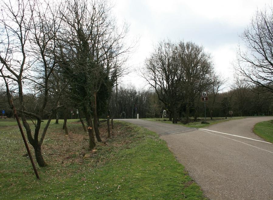 Cantieri verdi, nuovi fondi per i centri del Marghine 