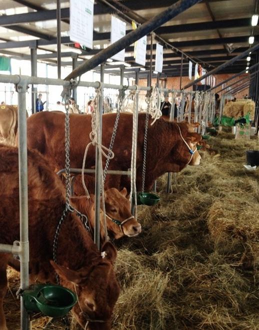 Anche la Coldiretti alla fiera di Ozieri: grande opportunità 