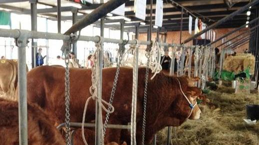 Anche la Coldiretti alla fiera di Ozieri: grande opportunità