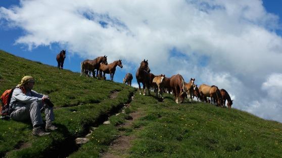 Escursionismo olistico: a contatto con la natura per ritrovare noi stessi