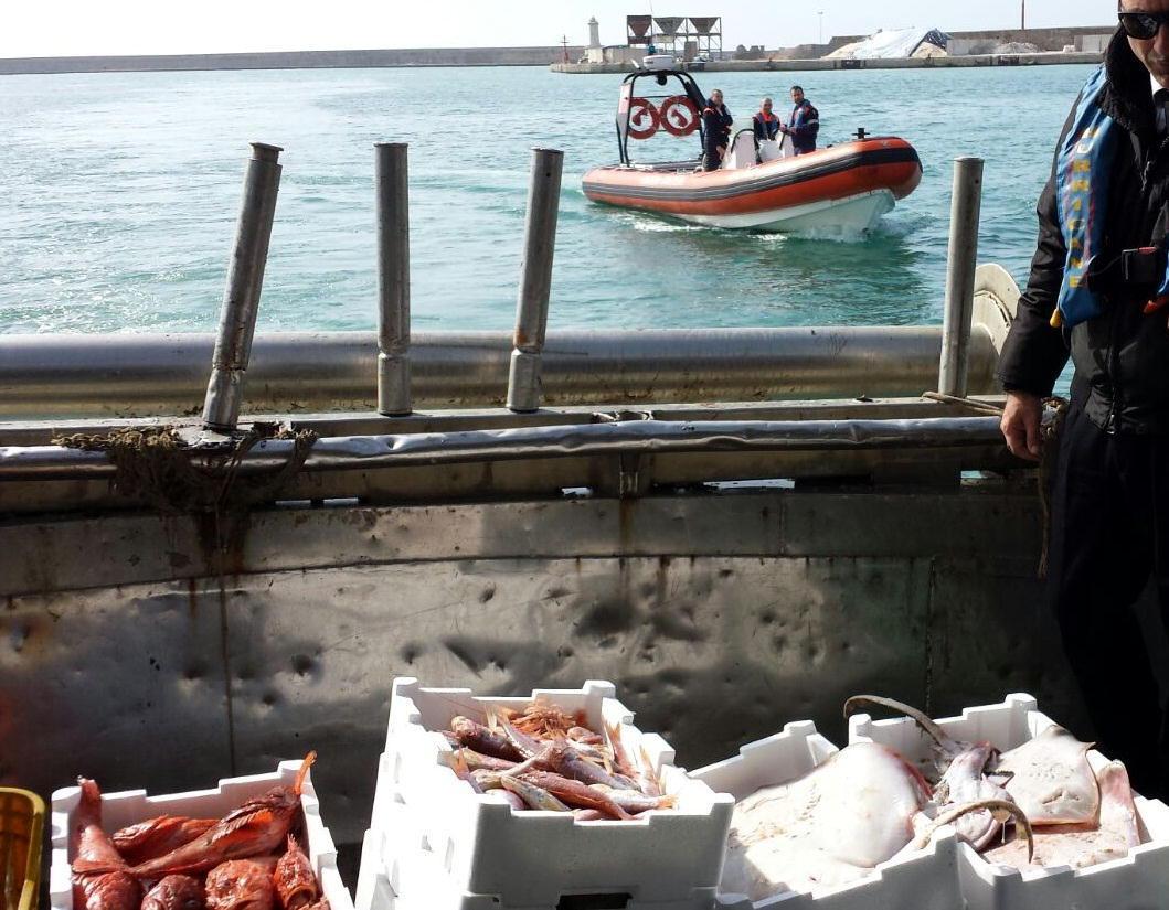 Sequestrati 220 chili di prodotti ittici, multato pescatore livornese