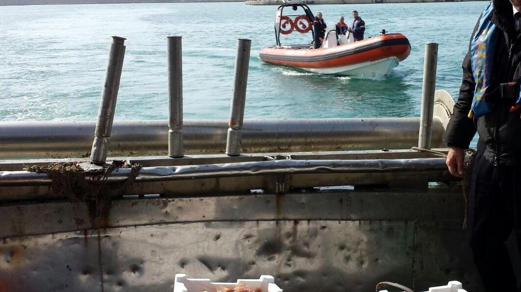 Sequestrati 220 chili di prodotti ittici, multato pescatore livornese