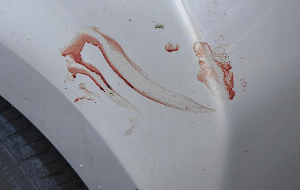 «Aggrediti e minacciati in mezzo alla strada» 