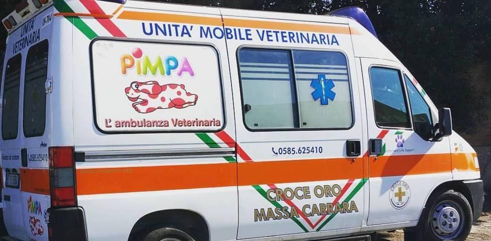 Polemica sul soccorso animali «Quel mezzo non è idoneo» 