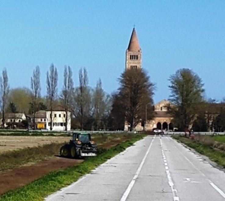 Comune più verde Cento pioppi accanto alla pista ciclabile 