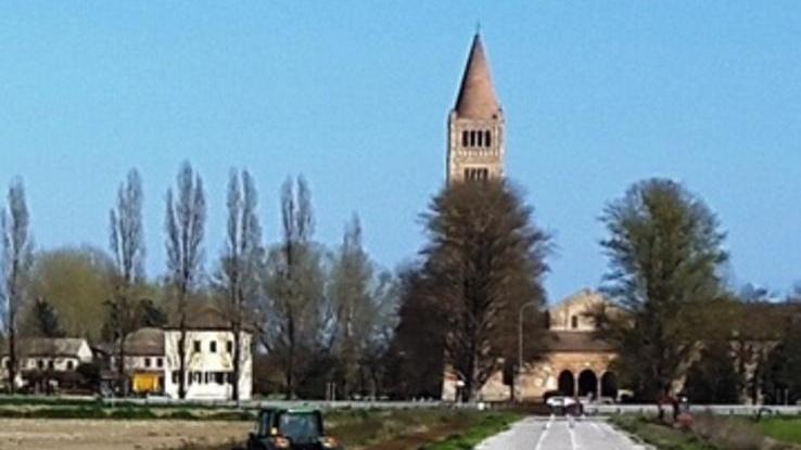Comune più verde Cento pioppi accanto alla pista ciclabile
