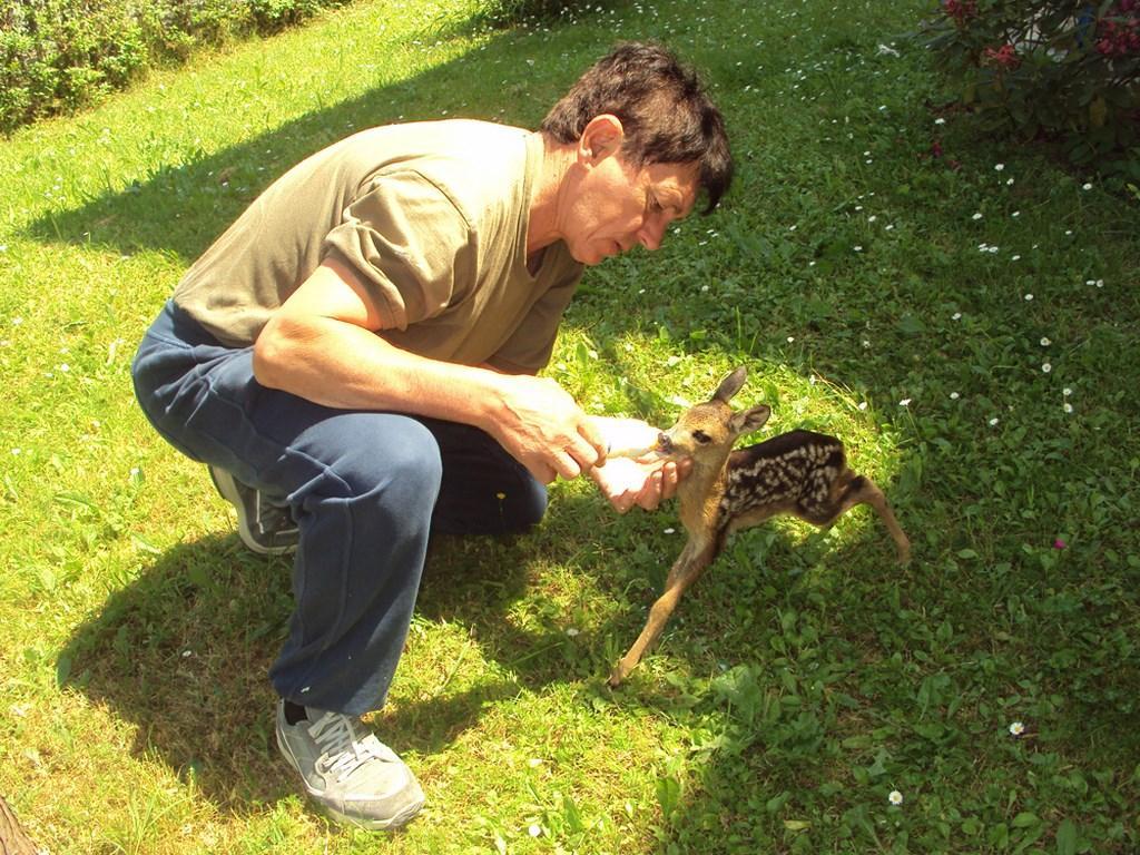 Il rifugio matildico in soccorso degli animali feriti