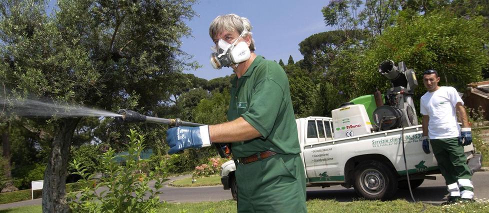 In vista un’estate da record per il numero di zanzare 