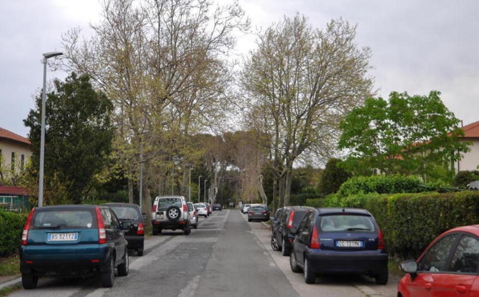 Uno scorcio di via Carducci (Foto Michele Falorni/SIlvi)