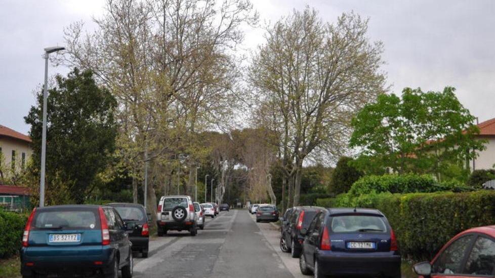 Uno scorcio di via Carducci (Foto Michele Falorni/SIlvi)