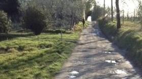 Via di Mezzo tutta buche e addio anche ai turisti