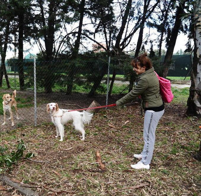Aree cani, presto il via ai lavori 