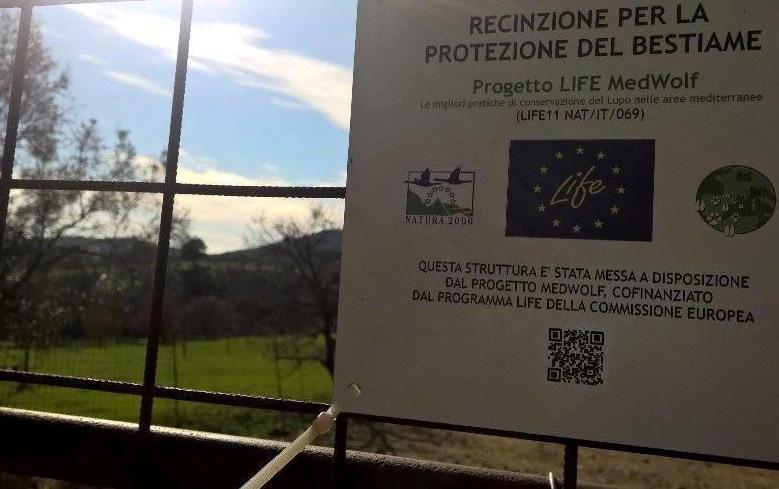 «A breve test sull’efficacia delle recinzioni» 