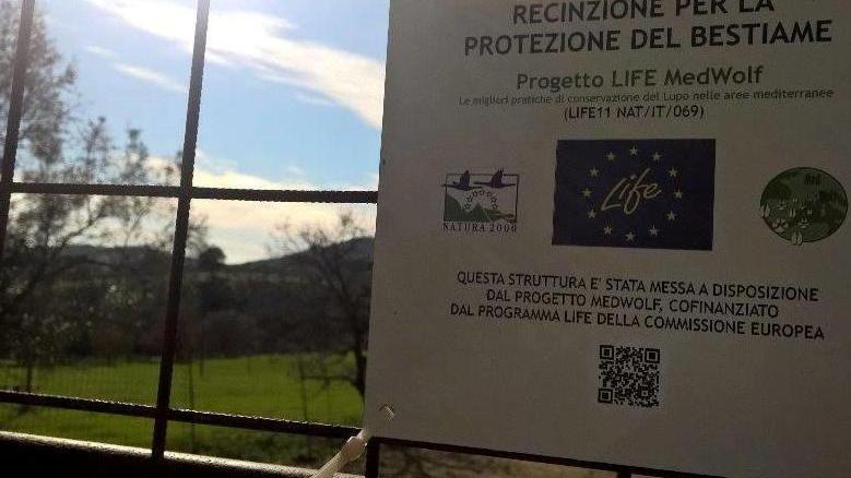 «A breve test sull’efficacia delle recinzioni»