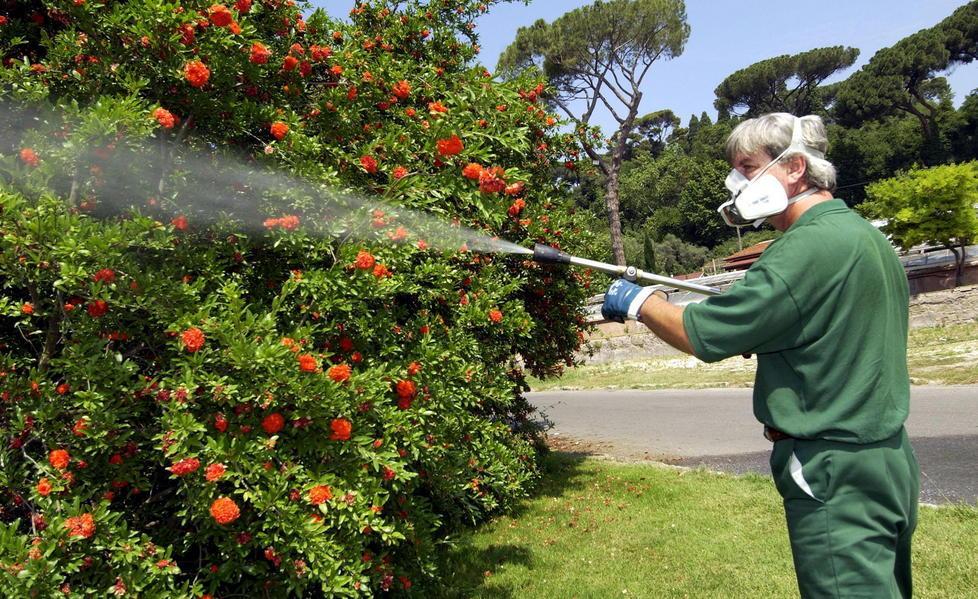 Zanzare e moscerini, via al trattamento 