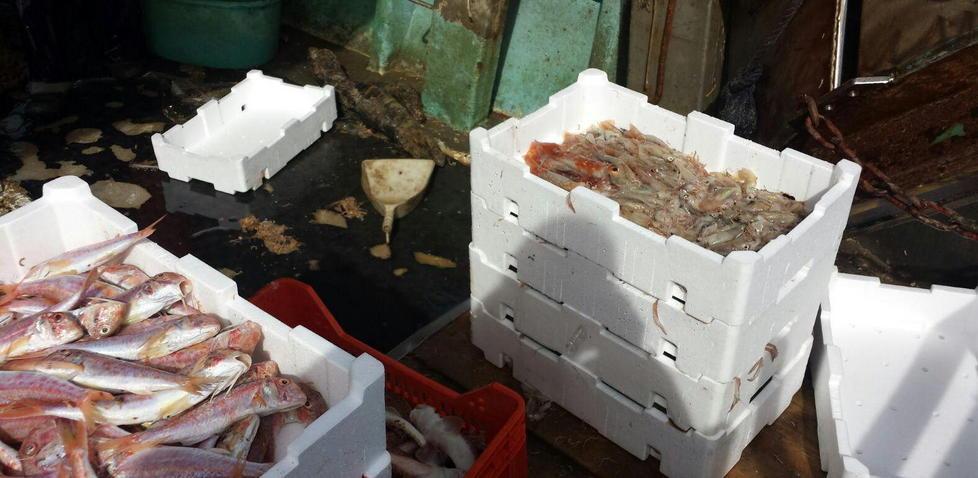 Reti irregolari: sequestrati 220 chili di pesci e crostacei 