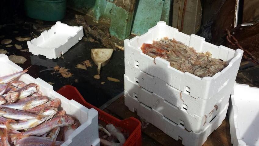 Reti irregolari: sequestrati 220 chili di pesci e crostacei