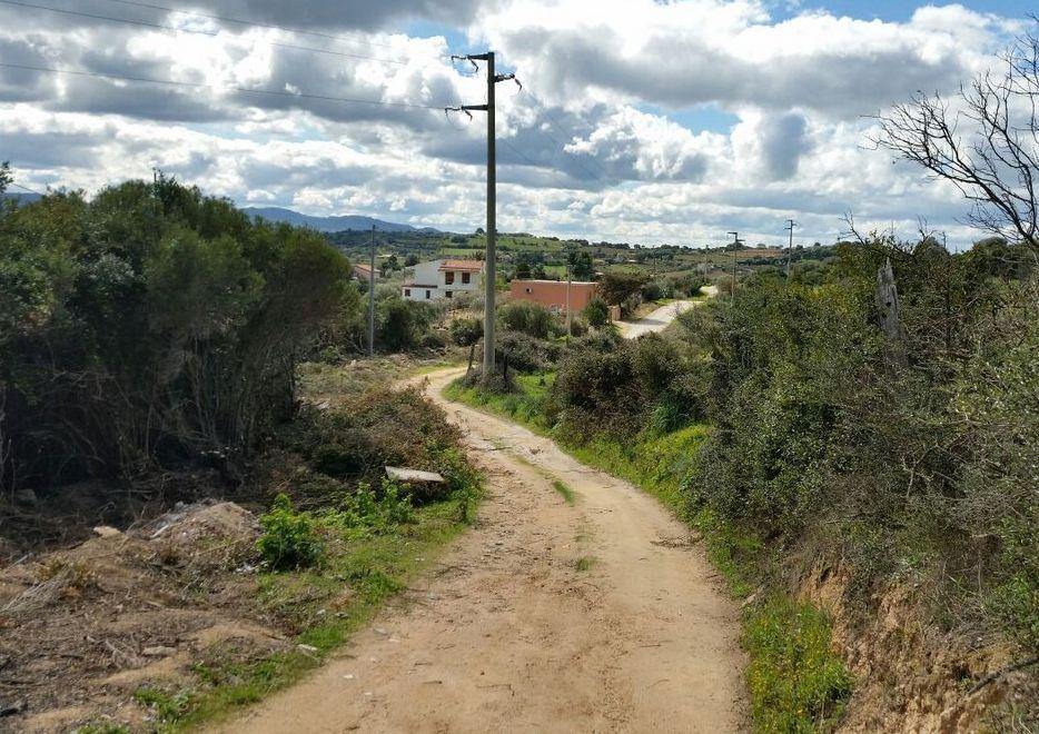 Strade di campagna, c’è lo stop ai disagi: via alla bitumazione 