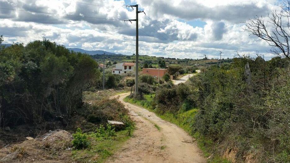 Strade di campagna, c’è lo stop ai disagi: via alla bitumazione
