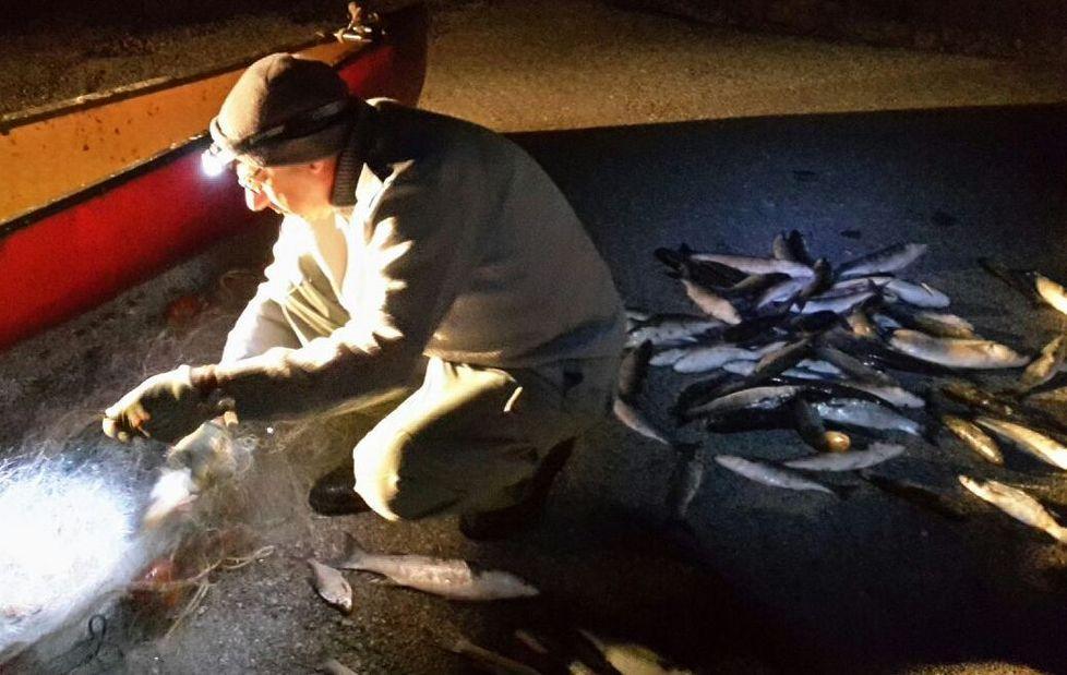 Sorpresi in Valle altri pescatori di frodo 