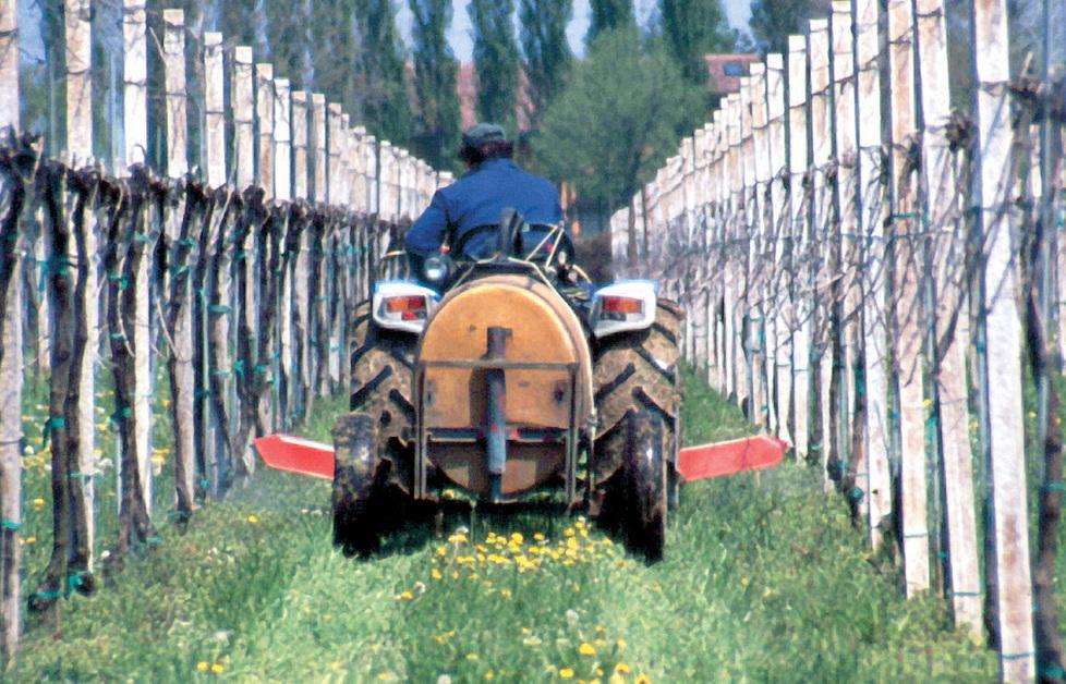 «Erbicida pericoloso, il Comune di Reggio Emilia lo vieti» 