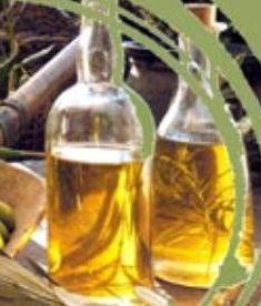 «Il nostro olio non può aver paura»