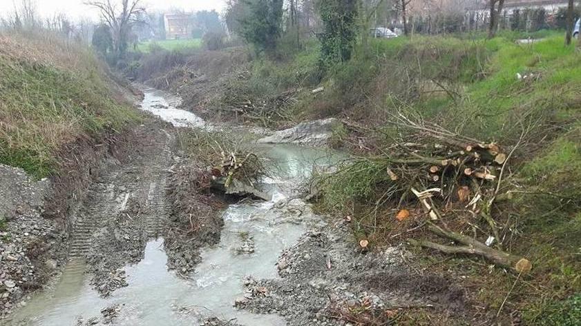 «Fossa, nessun eccesso per il taglio degli alberi»