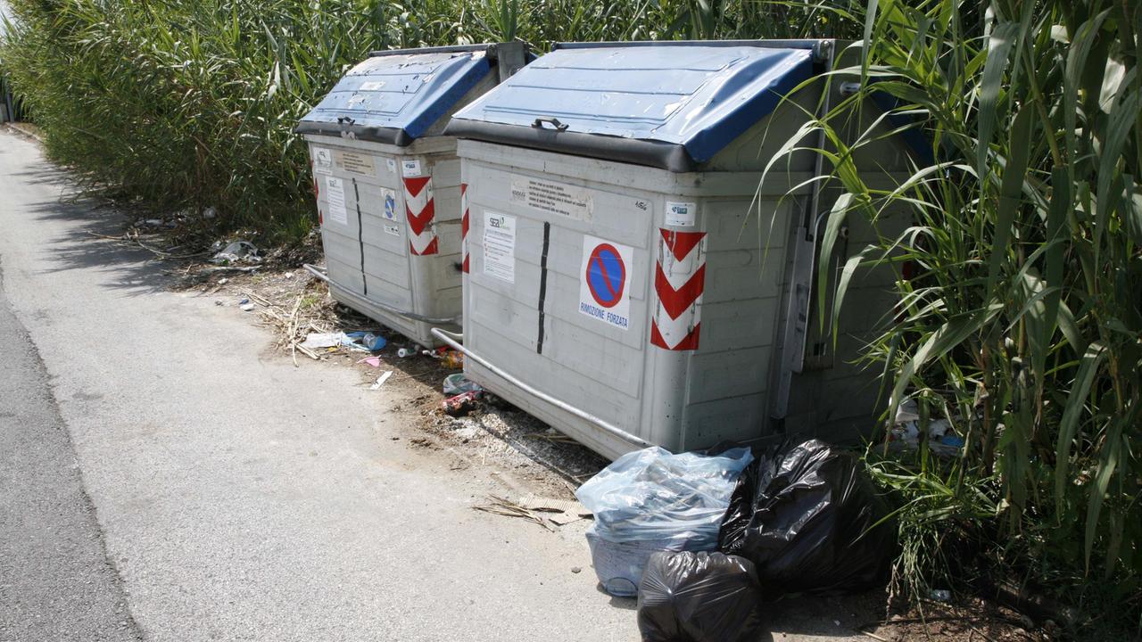 Alcuni cassonetti a Lido di Camaiore (foto di archivio)