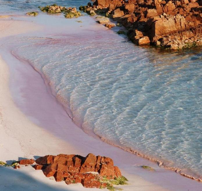 La Maddalena, ancora mea culpa: altra sabbia rosa restituita a Budelli