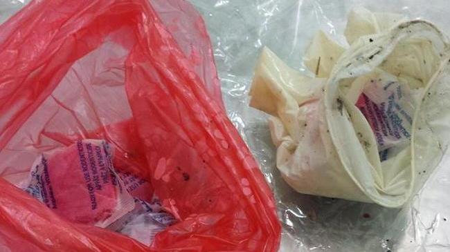 Salva il suo cucciolo da involtino-trappola con la gommapiuma