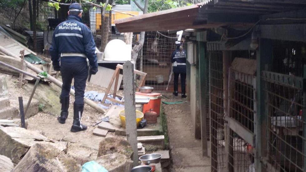 Canile abusivo sequestrato dai vigili in via Firenze