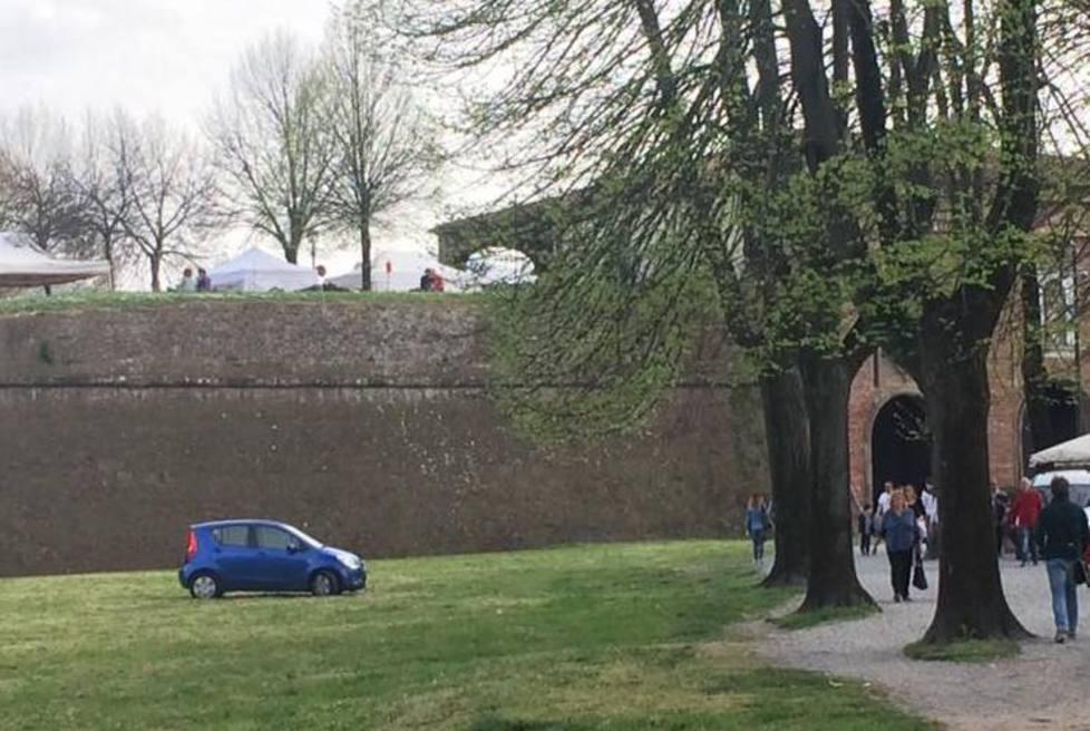 Auto parcheggiata sugli spalti, la sanzione è di “soli” 50 euro 