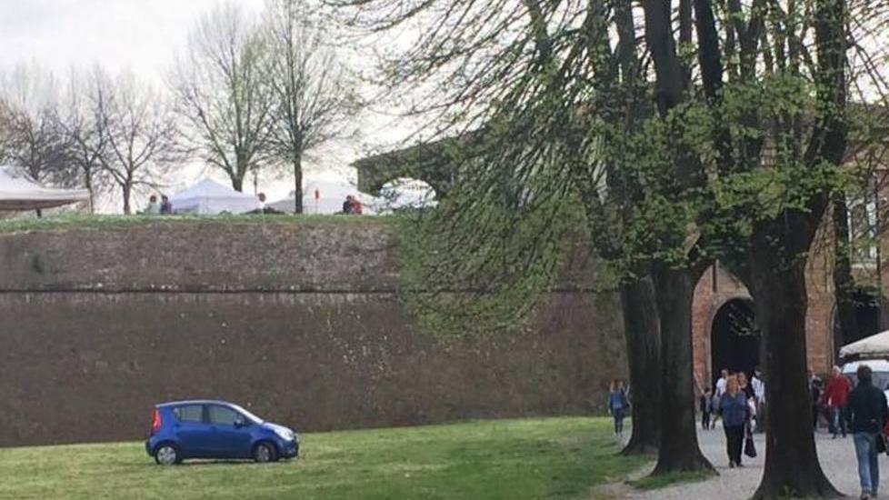 Auto parcheggiata sugli spalti, la sanzione è di “soli” 50 euro