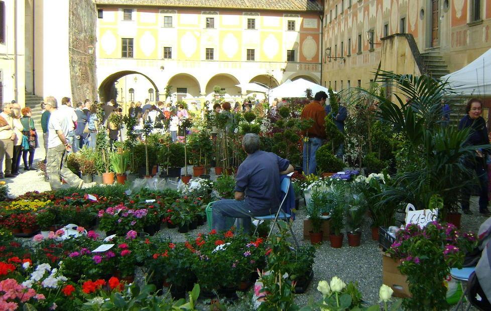 Festa degli aquiloni e mercato dei fiori oggi a San Miniato 