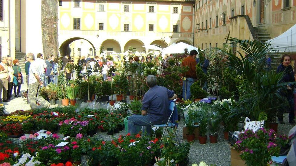 Festa degli aquiloni e mercato dei fiori oggi a San Miniato