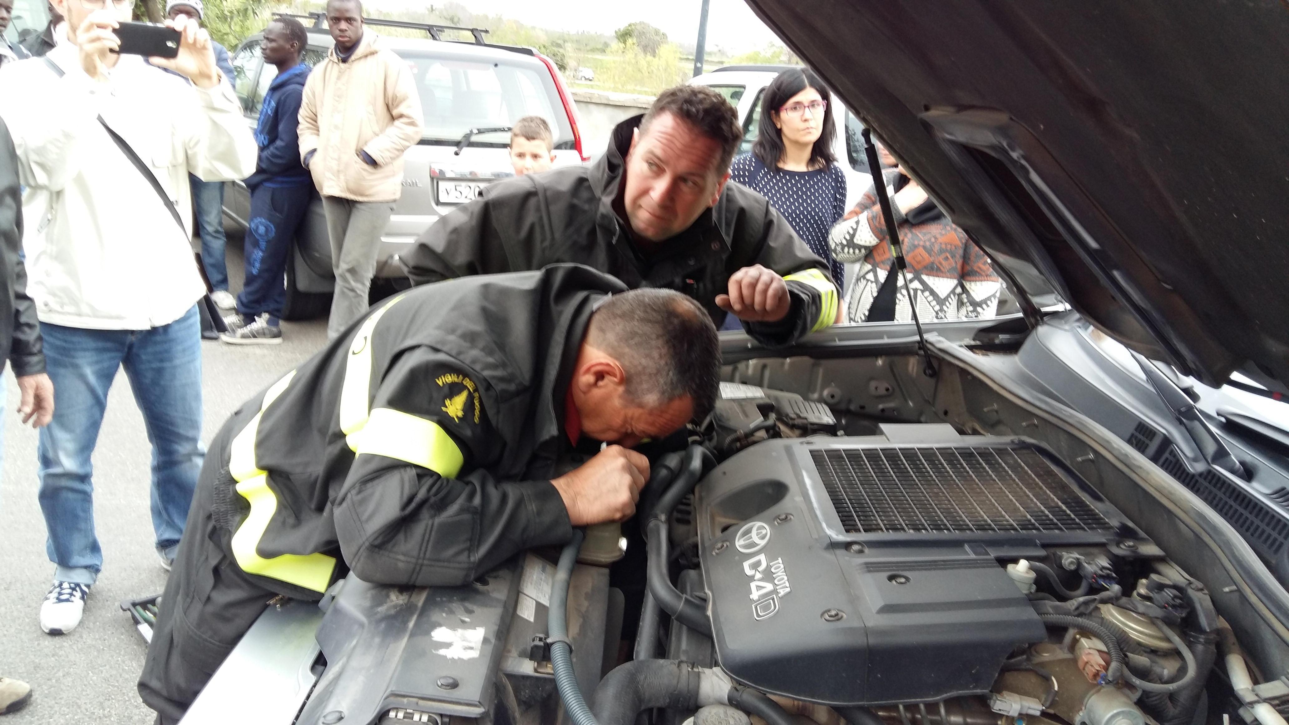 I vigili del fuoco al lavoro per recuperare la gatta
