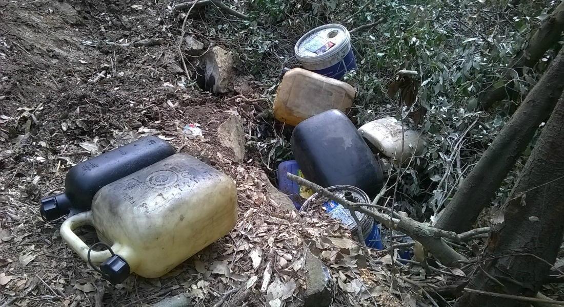 Le taniche trovate nel bosco dai residenti