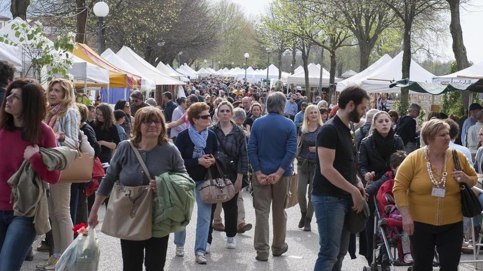 VerdeMura batte tutti i record