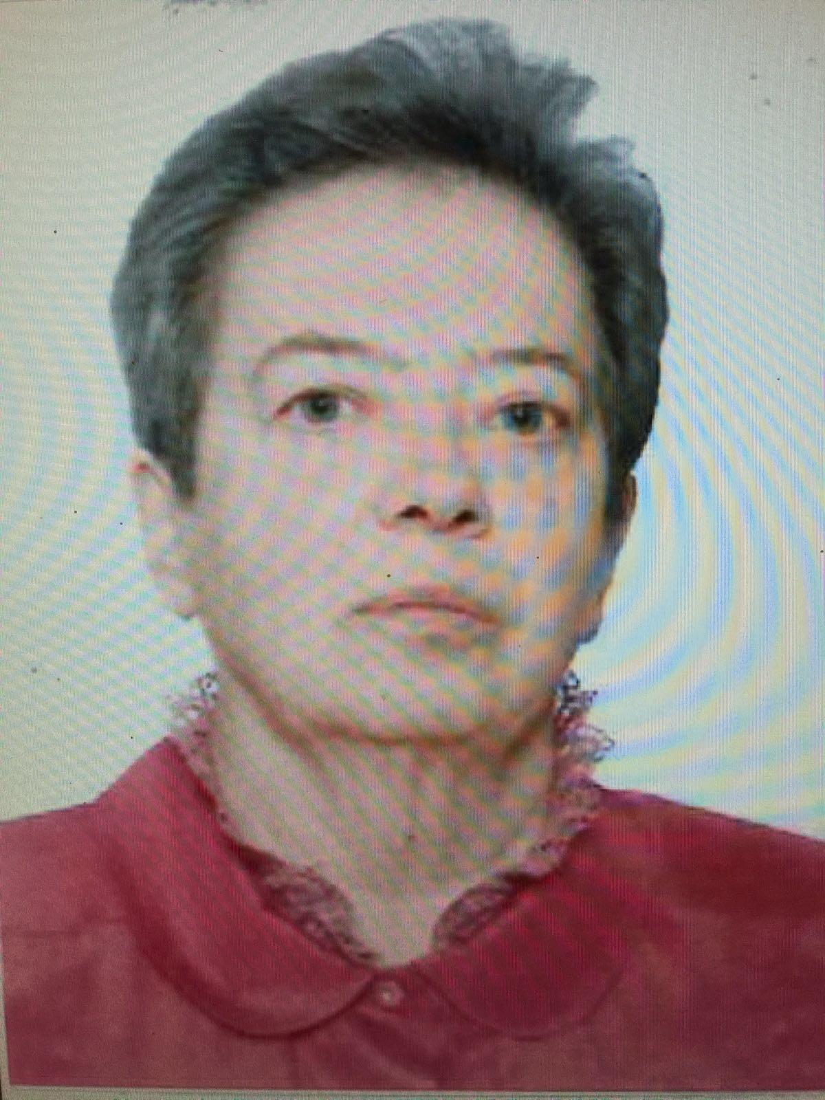 Paola Gualandi , 76 anni, la donna scomparsa