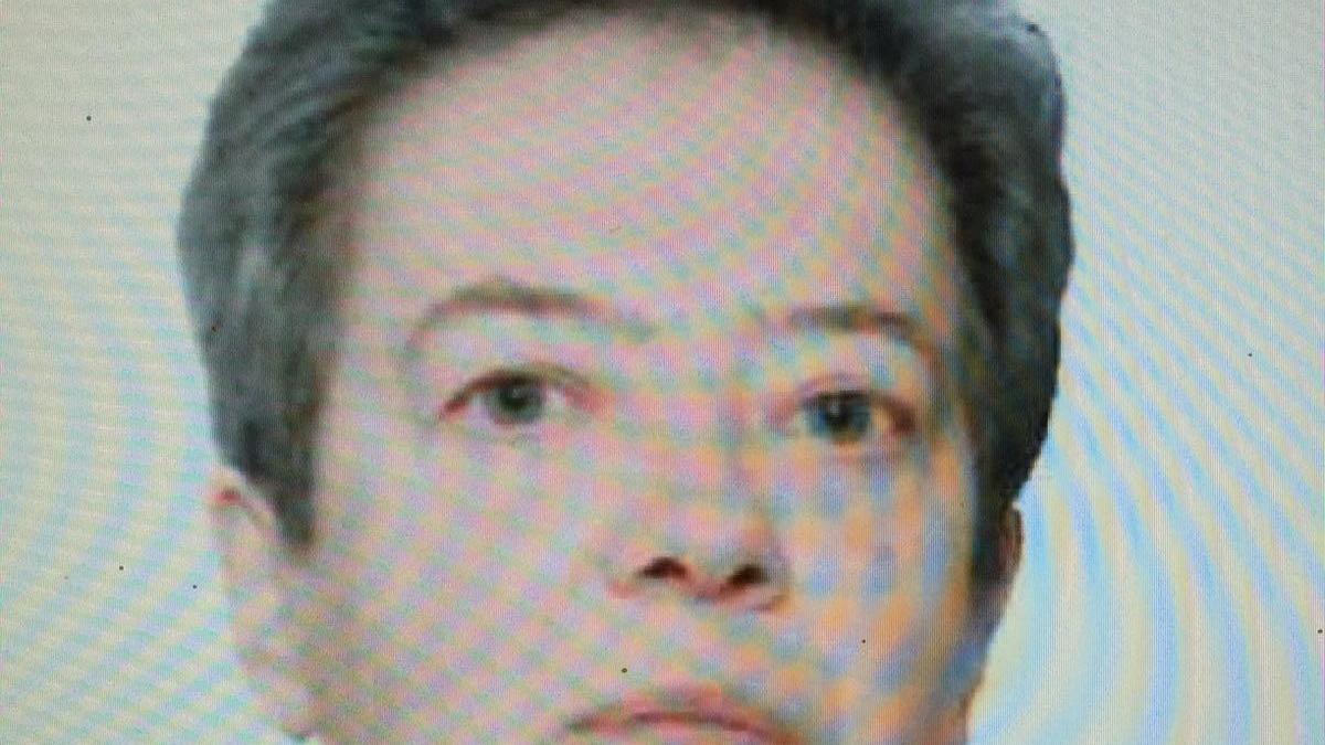 Paola Gualandi , 76 anni, la donna scomparsa