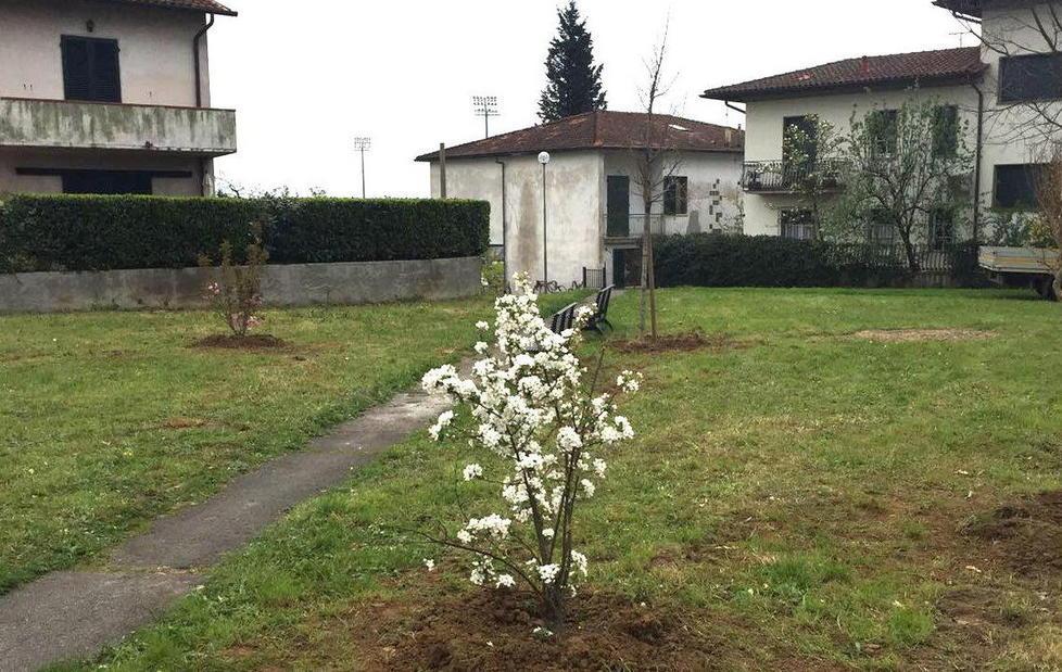 Il giardinetto torna a nuova vita 