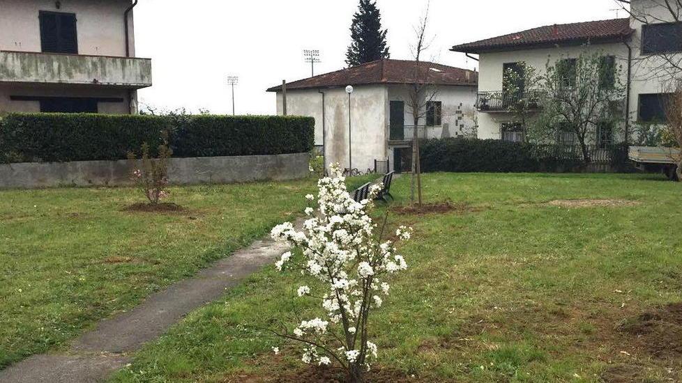 Il giardinetto torna a nuova vita