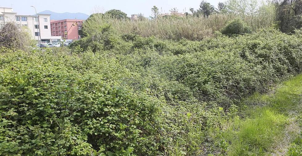 Tra postazioni per il “buco” e cumuli di rifiuti 