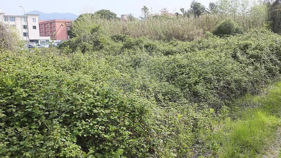 Tra postazioni per il “buco” e cumuli di rifiuti