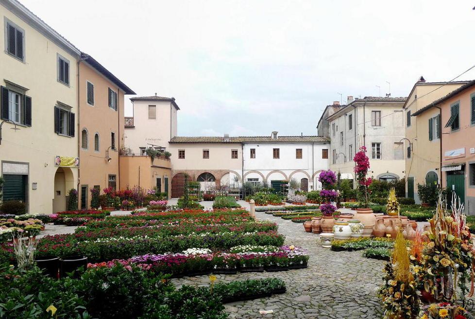 I fiori protagonisti nella Piana 